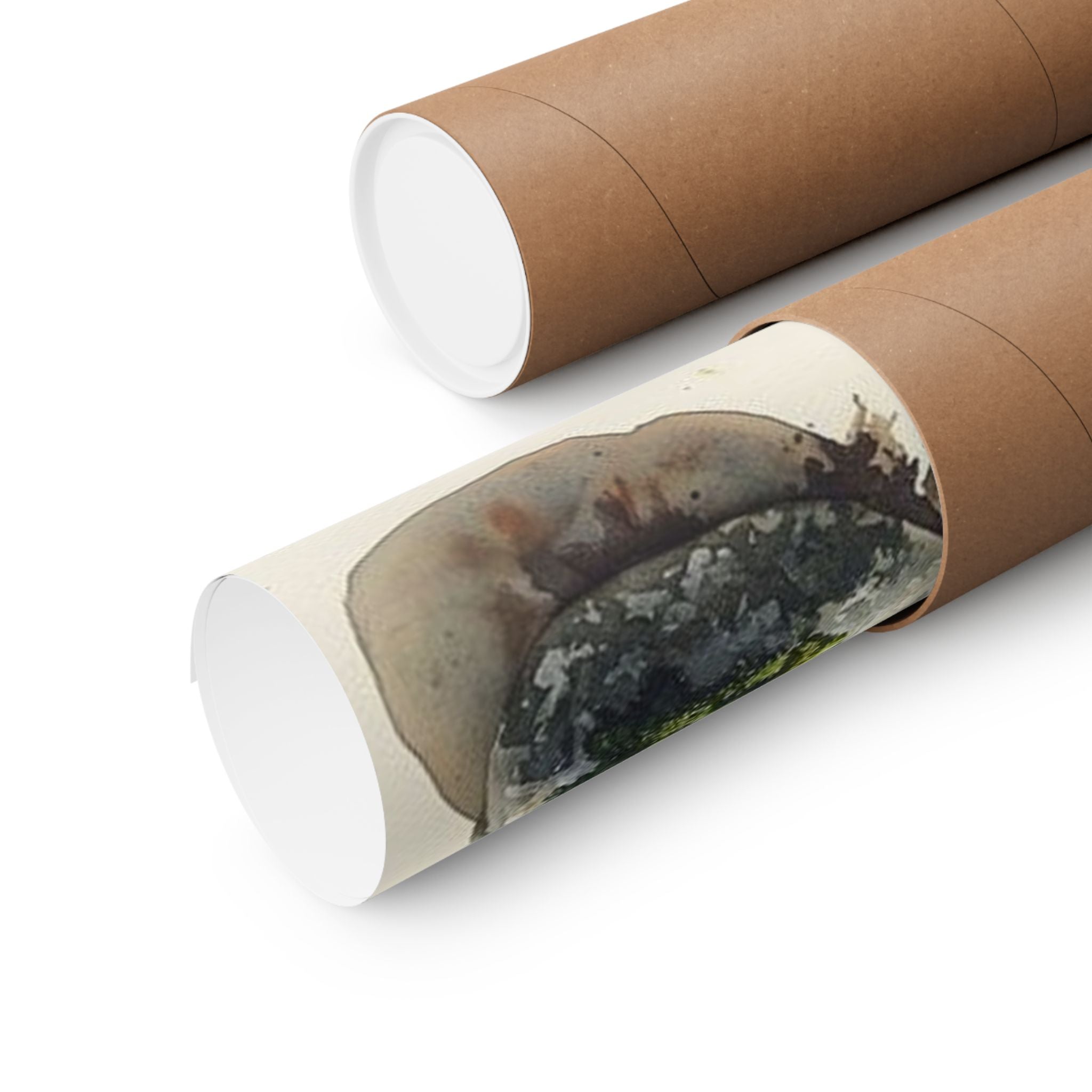 Moss River Stones Art Print — Wilderkind by Canvas & Click (view 11)