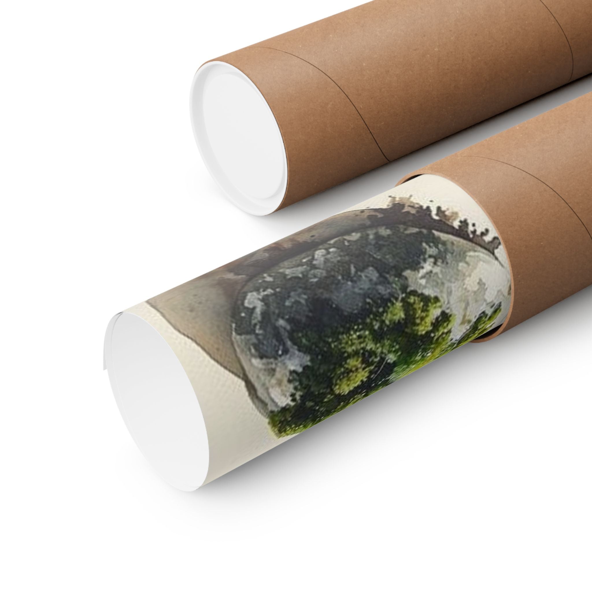 Moss River Stones Art Print — Wilderkind by Canvas & Click (view 8)