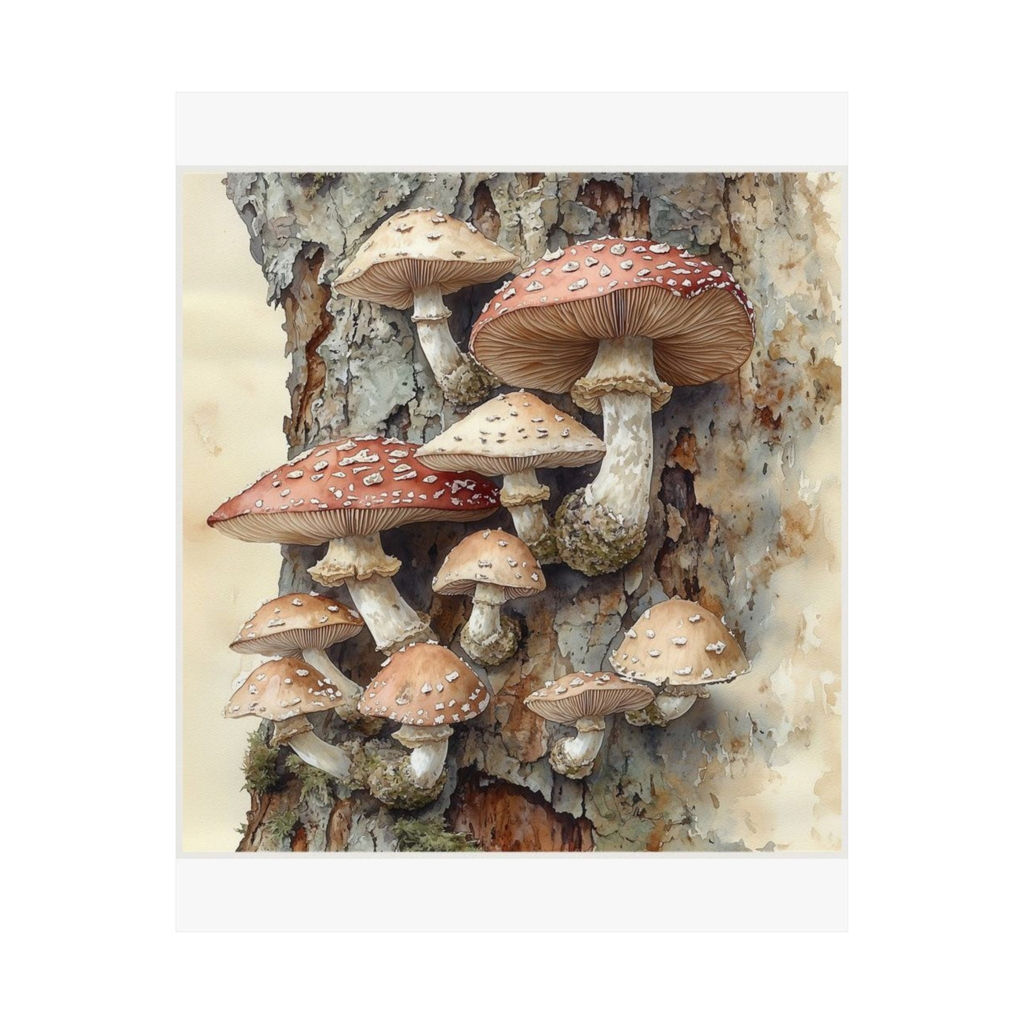 Wild Mushroom Botanical Art Print — Wilderkind by Canvas & Click (view 7)